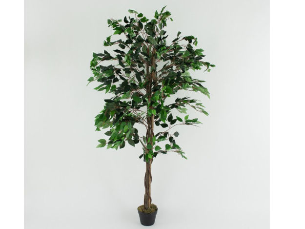 Slika Umjetno drvo fikus 180 cm u loncu zeleni listovi