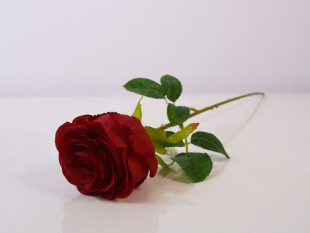 Slika Ruža 48 cm