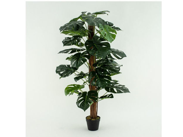 Slika Umjetno drvo monstera 120 cm