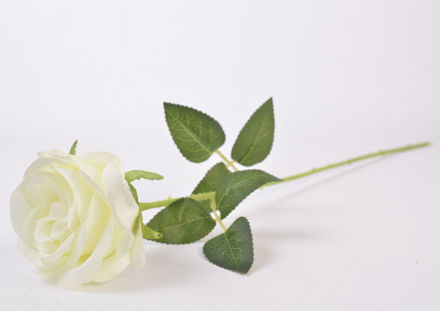 Slika Ruža 52 cm, bijela