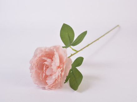 Slika Peonija 50 cm, roza