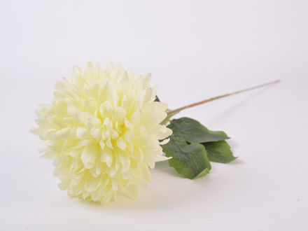 Slika Cvijet 45 cm