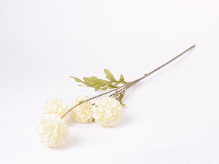 Slika Grana dekorativna 52 cm, 4 cvijeta, krem