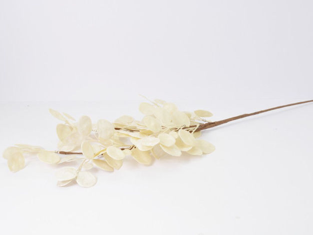 Slika Grana eukaliptus 68 cm, bijela perla