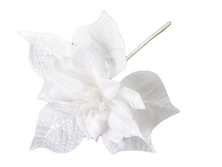 Slika Poisentia pik 30 cm; bijela