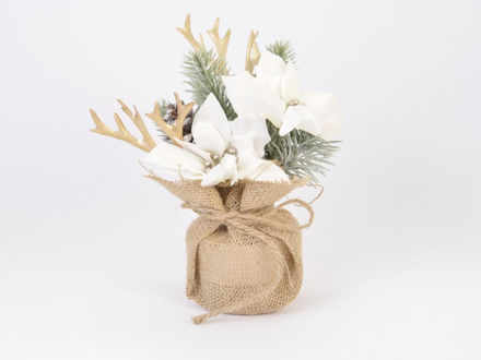 Slika Poinsettia/borovina u vrećici od jute 22 cm; bijela