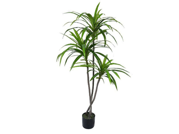 Slika Umjetno drvo dracena 160 cm u loncu