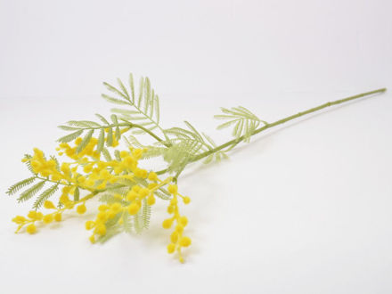 Slika Mimoza 66 Cm; žuta
