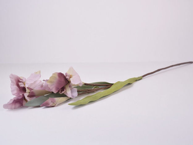 Slika Iris 74 cm; svijetlo ljubičasta