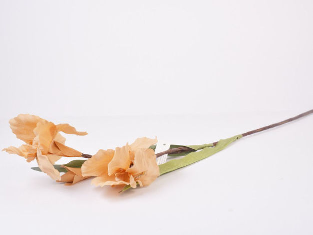 Slika Iris 74 cm; narančasta