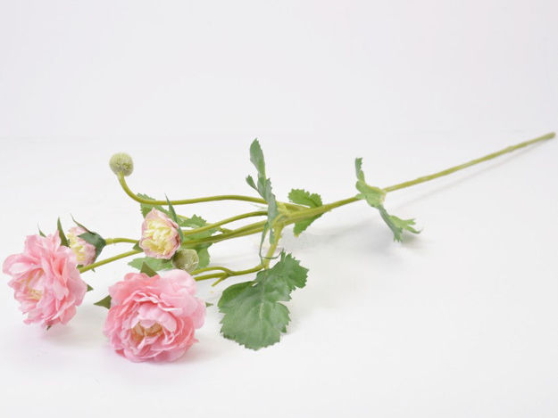 Slika Ranonkul 60 cm; 4 cvijeta; svijetlo roza