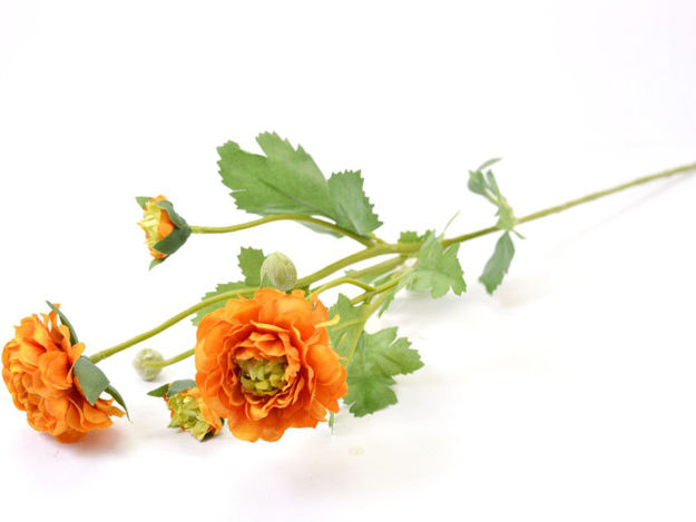 Slika Ranonkul 60 cm; 4 cvijeta; narančasta