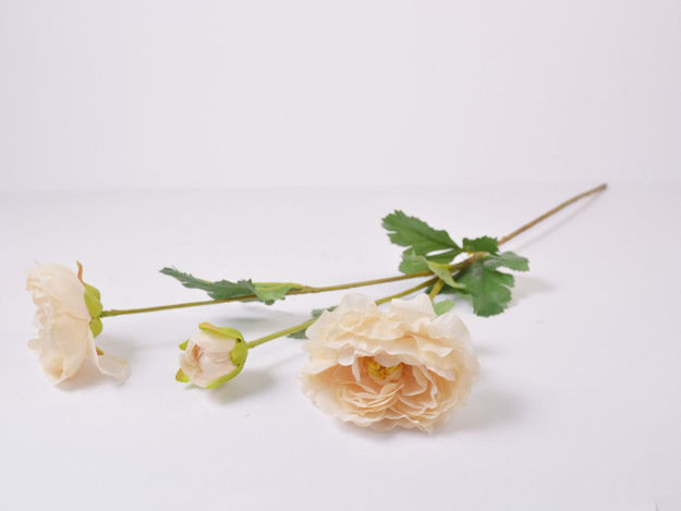 Slika Ranonkul 66 cm; 3 cvijeta; bež