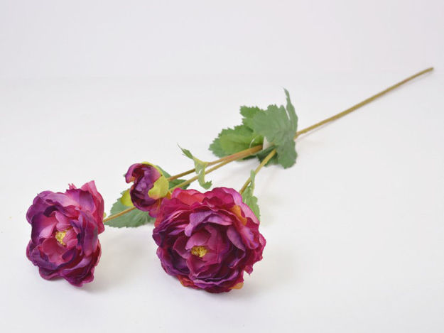 Slika Ranonkul 66 cm; 3 cvijeta; tamno roza