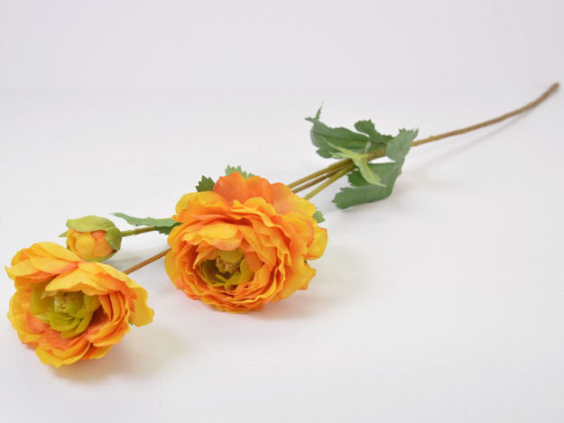 Slika Ranonkul 66 cm; 3 cvijeta; narančasta