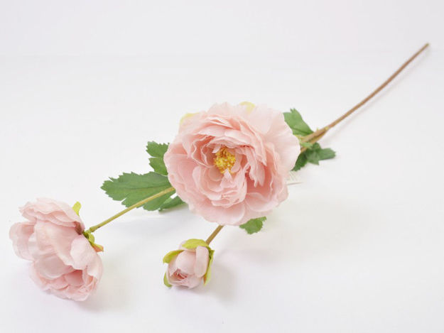Slika Ranonkul 66 cm; 3 cvijeta; roza