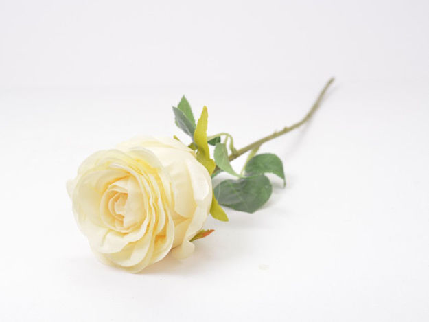 Slika Ruža 48 cm; krem