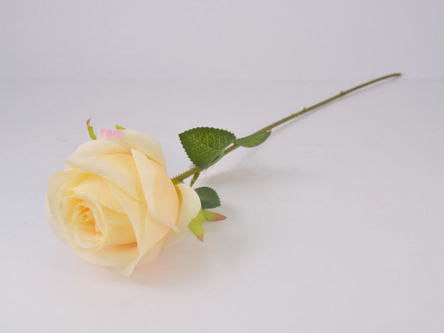 Slika Ruža 49 cm; krem