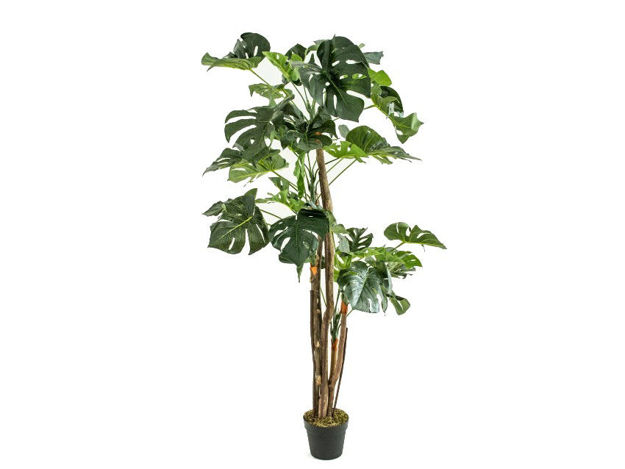 Slika Umjetno drvo monstera 170 cm