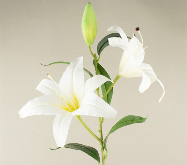 Slika Ljiljan 2 glave cvijeta 1 pup 92cm bijela