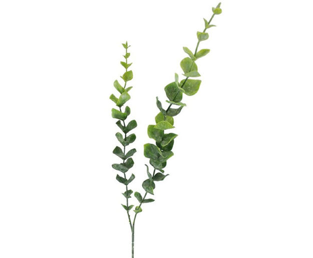 Slika Eukaliptus t. zelena - patina 90cm