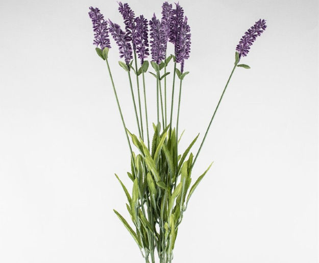 Slika Lavanda x 10 51 cm