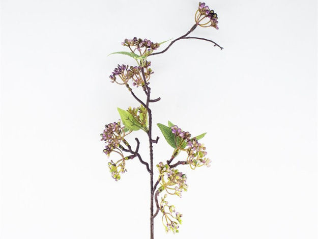 Slika Hortenzija neprocvjetana grana 65cm zelena/ljubičasta