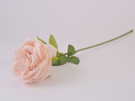 Slika Ruža 49 cm; sv.roza
