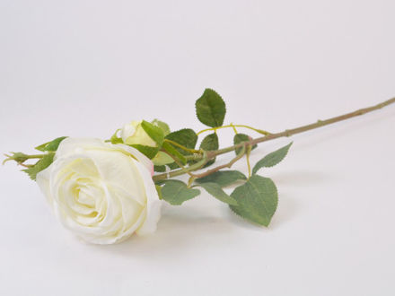 Slika Ruža 71 cm; bijela
