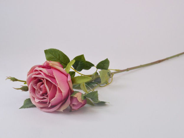 Slika Ruža 71 cm; pink