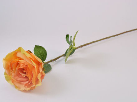 Slika Ruža 66 cm; narančasta
