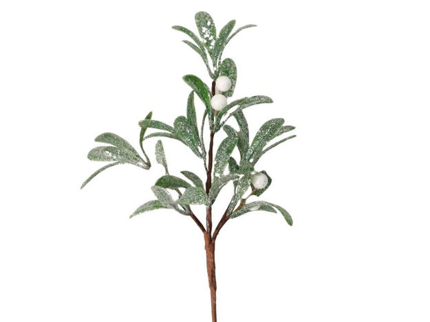 Slika Pik eukaliptus s bobicama 30 cm; zasnježen
