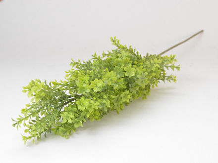 Slika Grana zelenila 60 cm