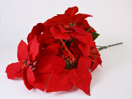 Slika Buket poisentia 47 cm; 7 cvijetova; crvena
