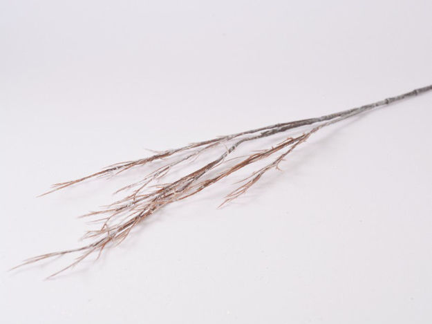 Slika Grana vrbe 44 cm; natur br-01