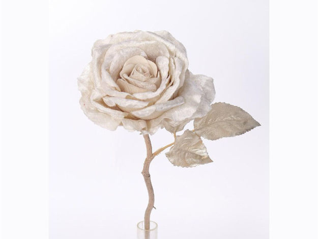 Slika Pik ruža 32cm/d11 cm; krem cr-01