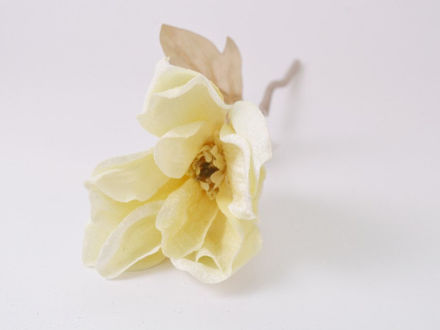 Slika Pik magnolija 31 cm/d15 cm; krem cr-01