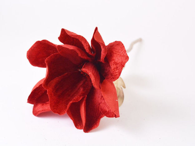 Slika Pik magnolija 31 cm/d15 cm; crvena rd-01