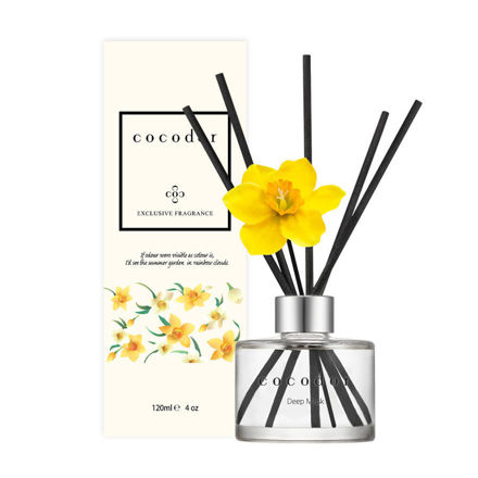 Slika Difuzor daffodil 120 ml-deep musk