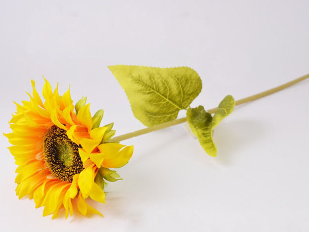 Slika Suncokret 60 cm; žuta