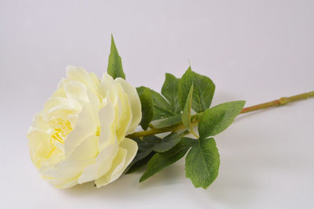 Slika Peonija 72 cm; bijela