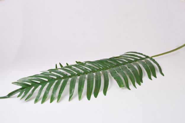 Slika List palme 77 cm