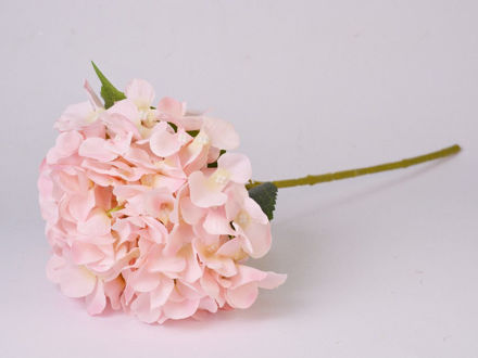 Slika Hortenzija 48 cm; sv.roza