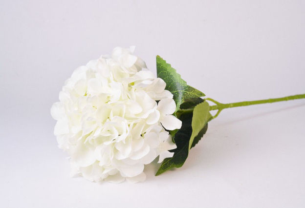 Slika Hortenzija 66 cm; bijela
