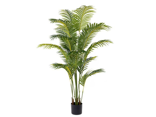 Slika Umjetno drvo areca palma 175 cm; 15 listova
