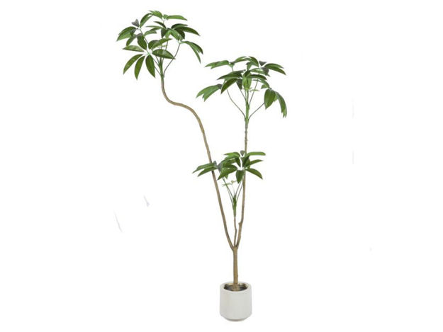 Slika Umjetno drvo šeflera 190 cm; 16 listova