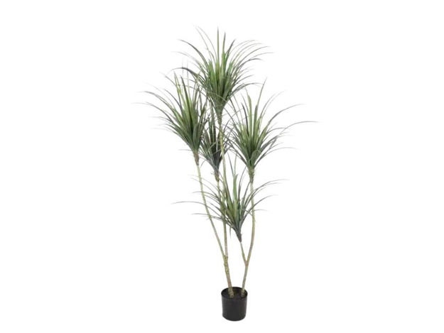 Slika Umjetno drvo yucca 200 cm; 285 listova