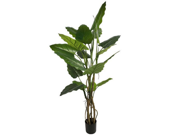 Slika Umjetno drvo taro 180 cm; 18 listova