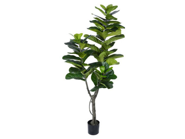 Slika Umjetno drvo fikus lyrata 180 cm; 79 listova