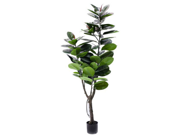Slika Umjetno drvo fikus elastica 180 cm; 75 listova